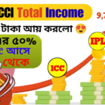 BCCI Total Income 2024